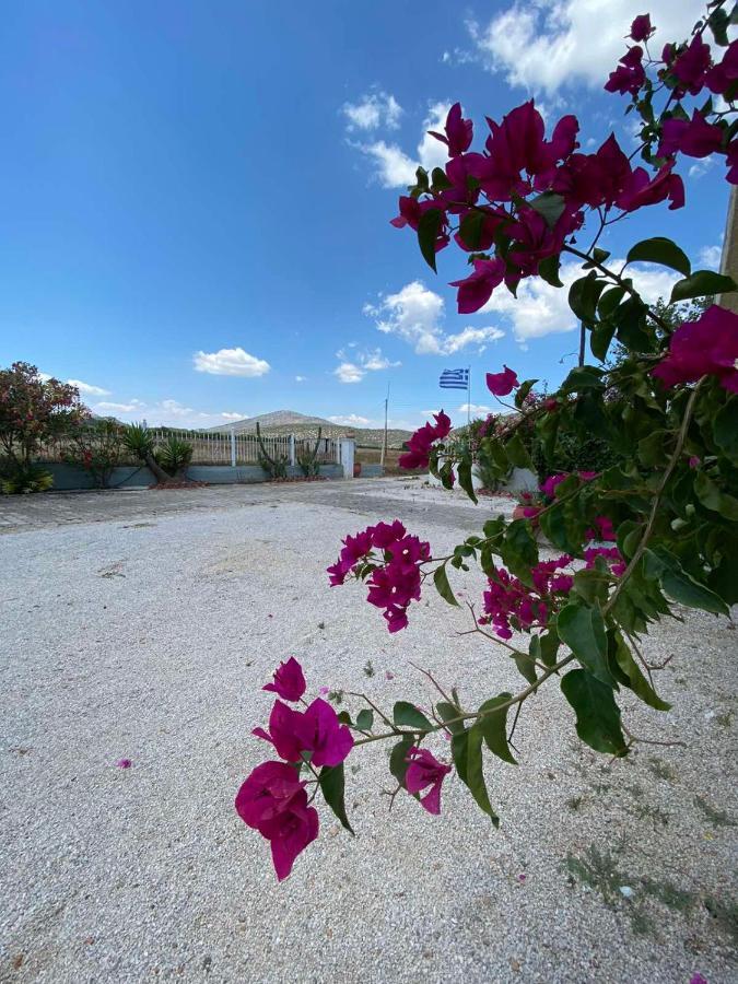 Leonidas Resort Ermióni Kültér fotó